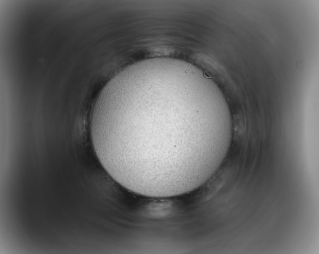 X0000088680369200706141358