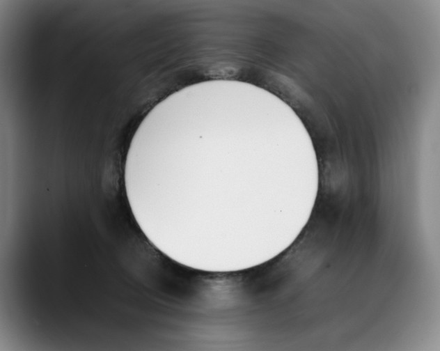 X0000088680370200706141359