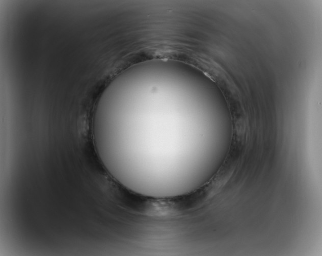 X0000088680372200706141359