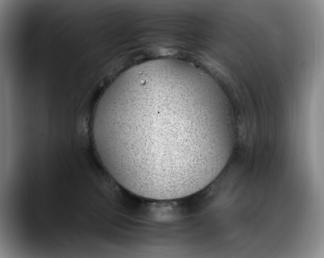 X0000088680373200706141359
