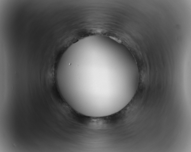X0000088680376200706141359