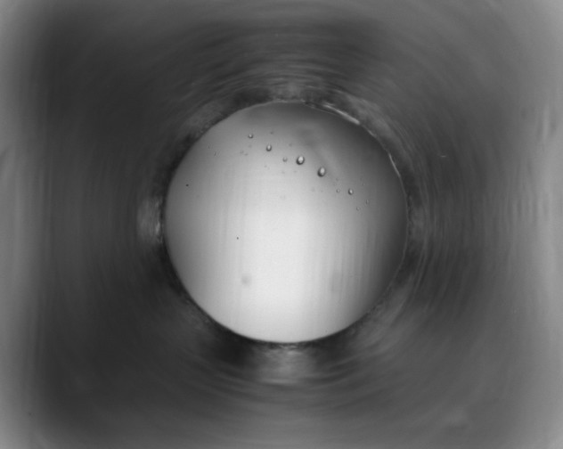 X0000088680383200706141359