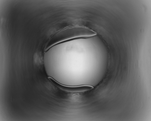 X0000088680384200706141359