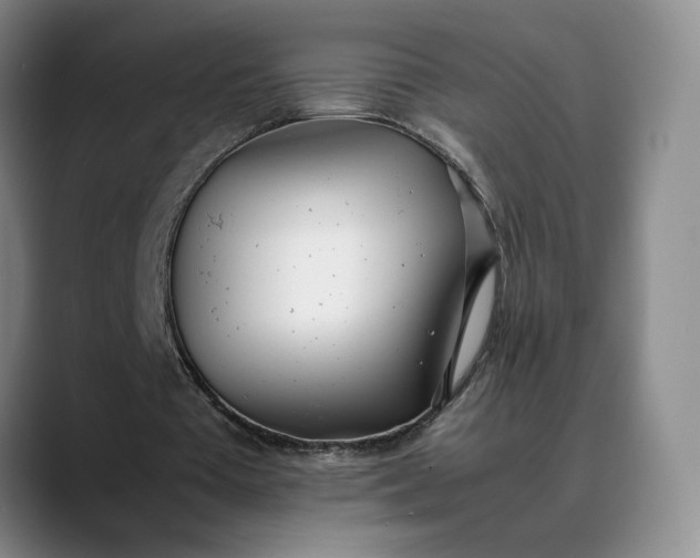 X0000088680385200706141358