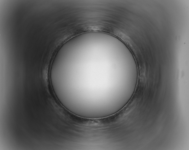 X0000088680386200706141358