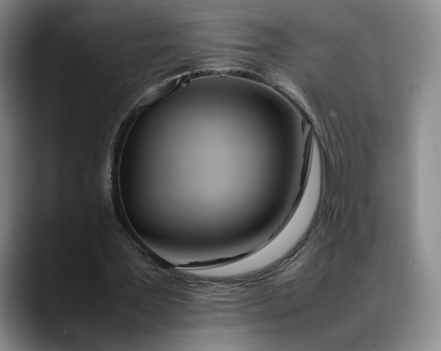 X0000088680387200706141358