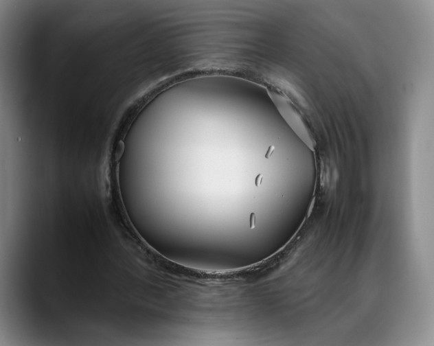 X0000088680388200706141358