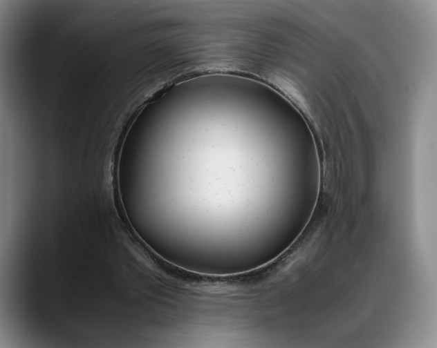 X0000088680389200706141358