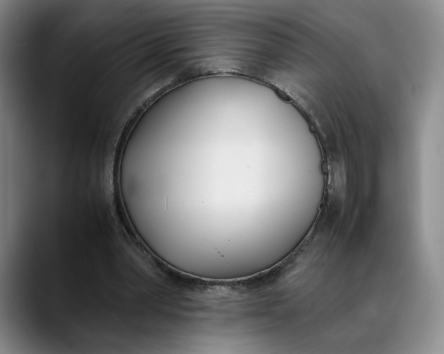 X0000088680390200706141358