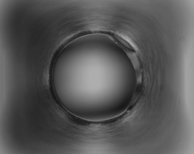 X0000088680391200706141358