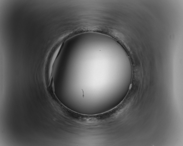 X0000088680395200706141358