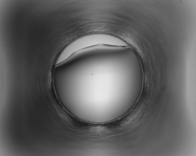 X0000088680397200706141358