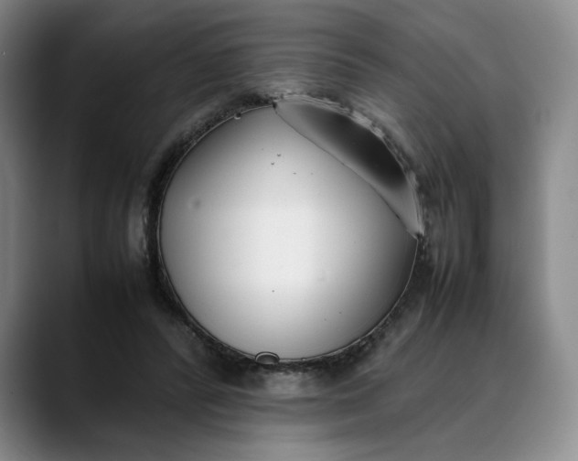 X0000088680400200706141358