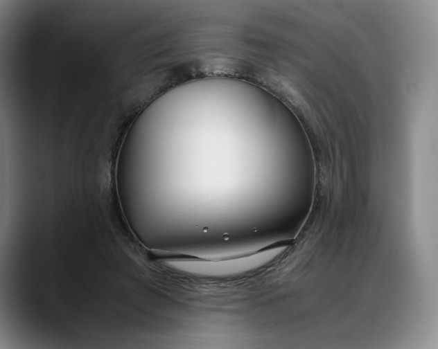 X0000088680401200706141358