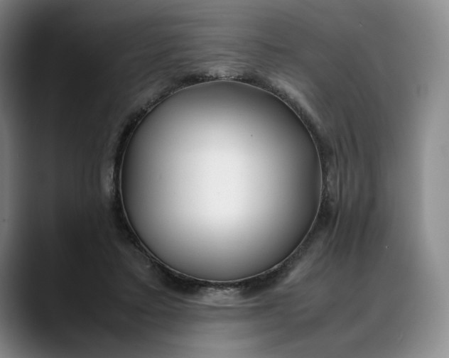 X0000088680403200706141358