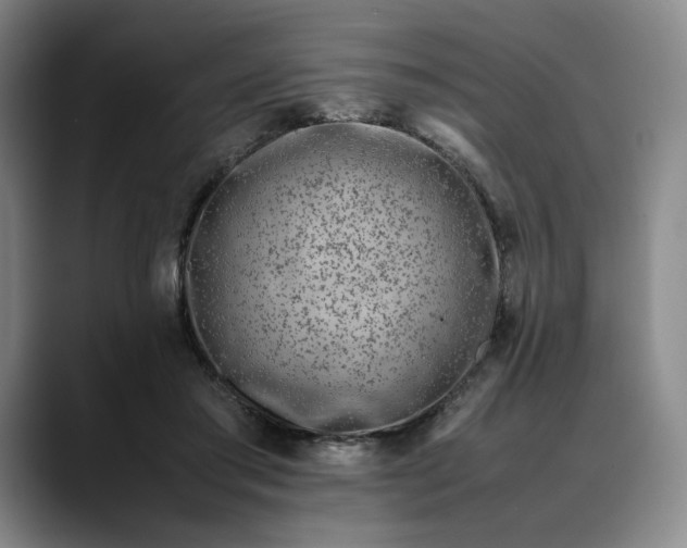 X0000088680405200706141358