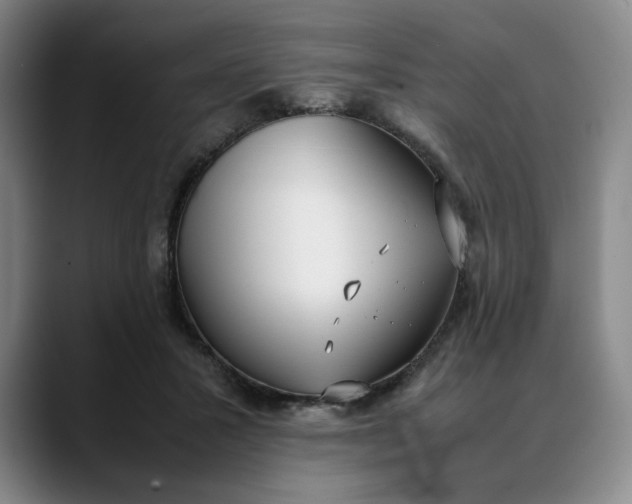 X0000088680407200706141358