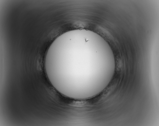 X0000088680414200706141358