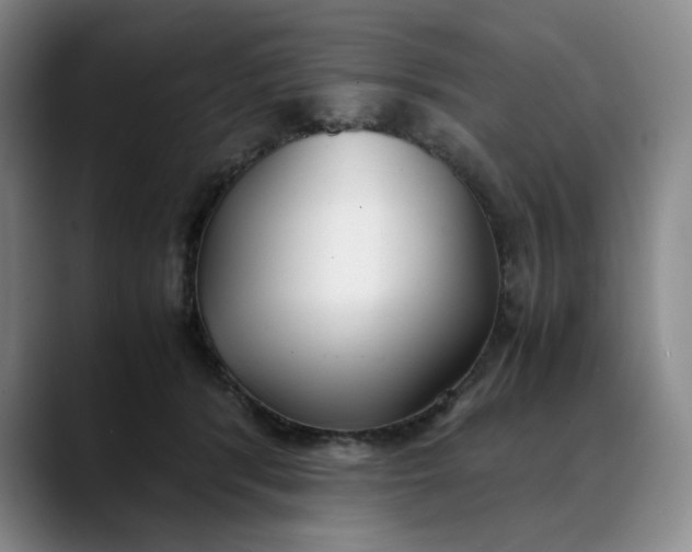X0000088680416200706141358