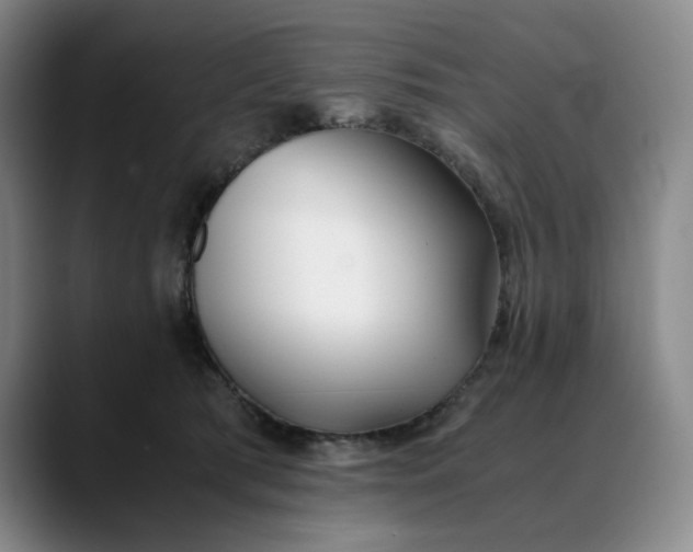 X0000088680417200706141358
