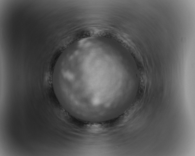 X0000088680419200706141358