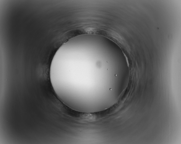 X0000088680421200706141358