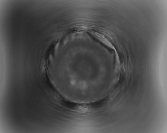 X0000088680423200706141358