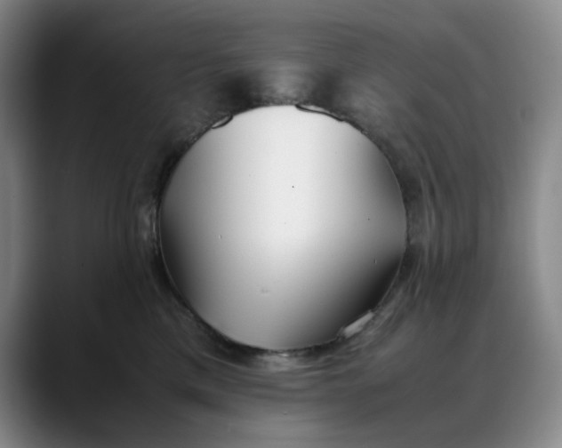 X0000088680425200706141358