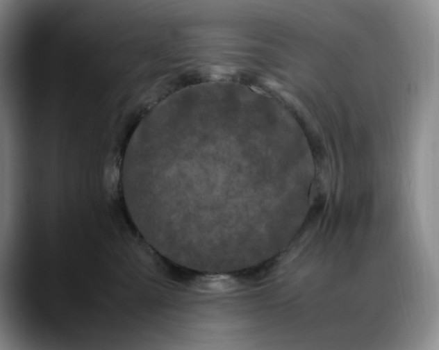 X0000088680427200706141358