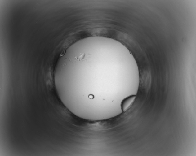X0000088680430200706141358