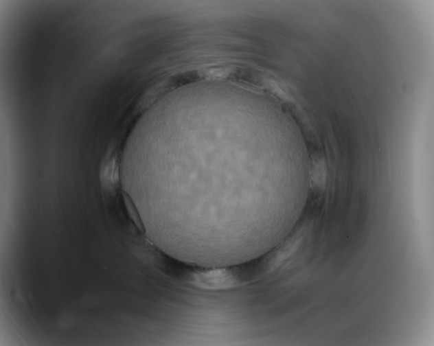 X0000088680431200706141358