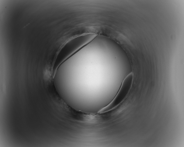 X0000088680432200706141358