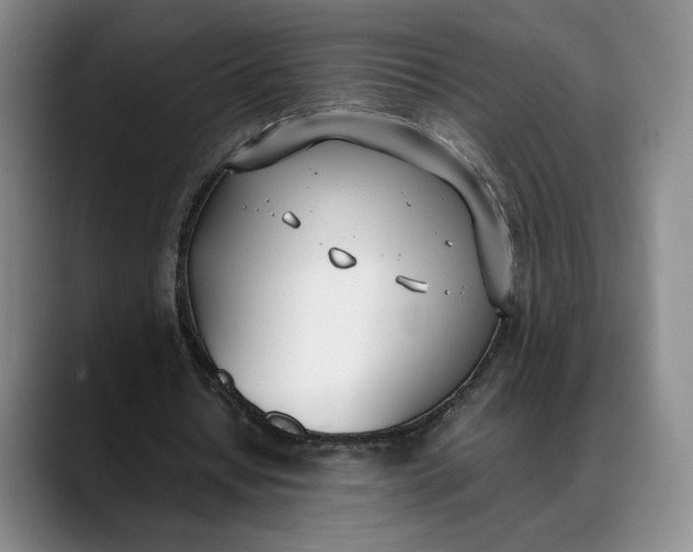 X0000088680434200706141357