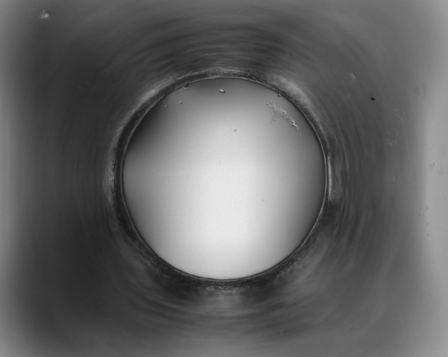X0000088680435200706141357