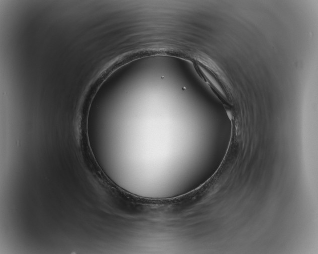 X0000088680436200706141357
