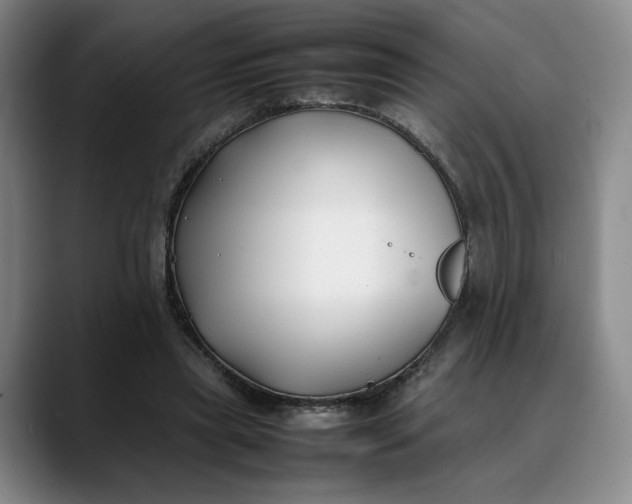X0000088680445200706141357