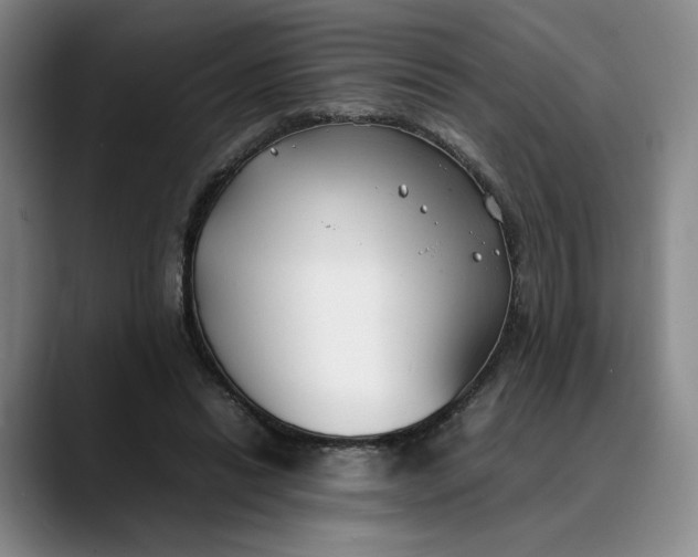 X0000088680446200706141357