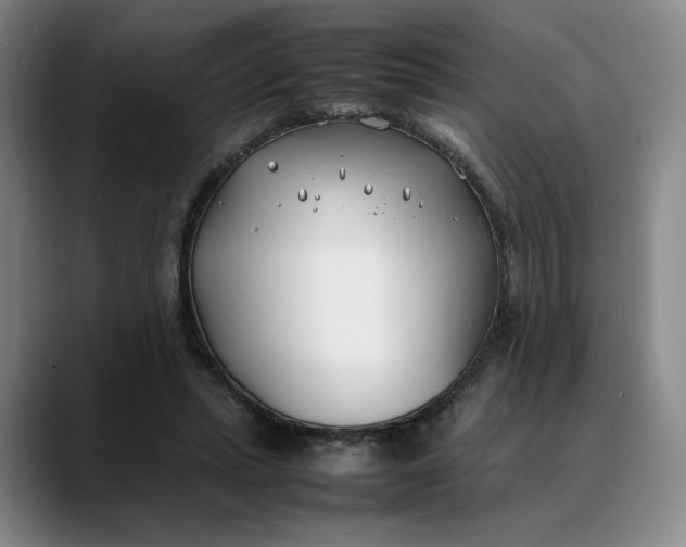 X0000088680447200706141357