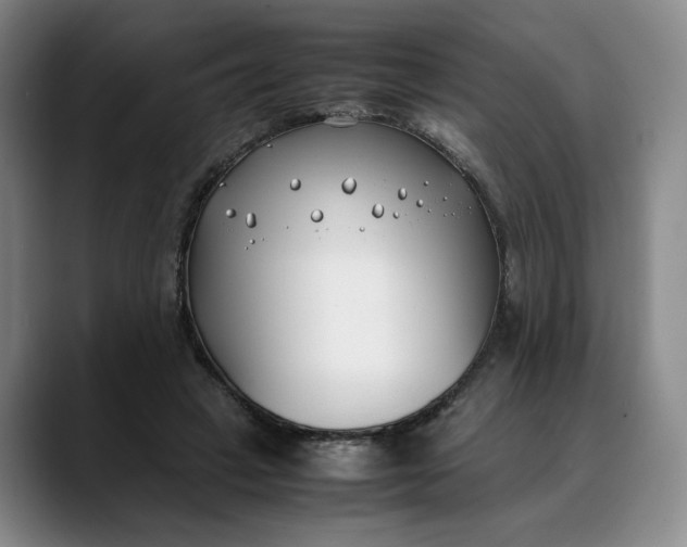 X0000088680449200706141357