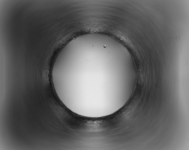 X0000088680450200706141357