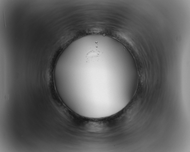 X0000088680455200706141357