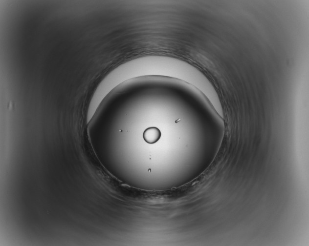 X0000088680456200706141357
