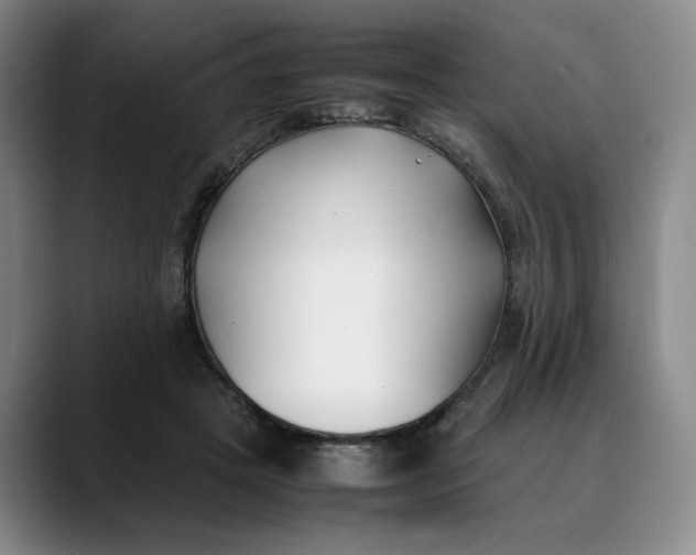 X0000088680457200706141357