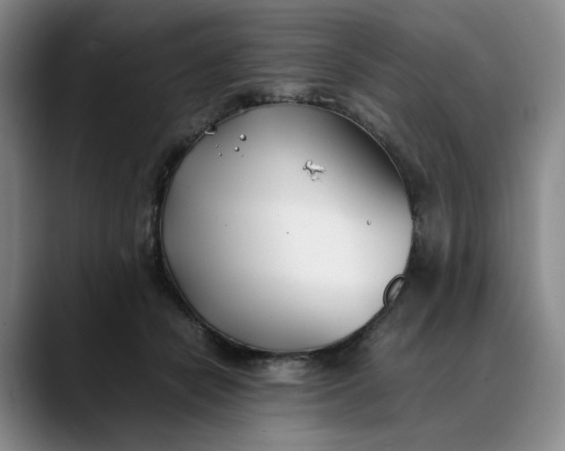 X0000088680462200706141357