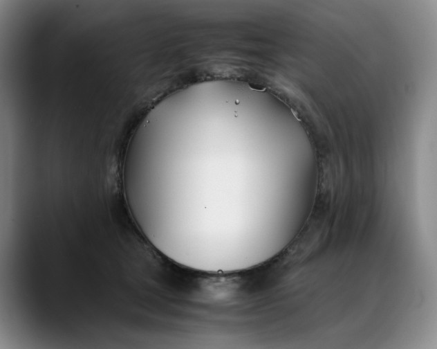 X0000088680465200706141357