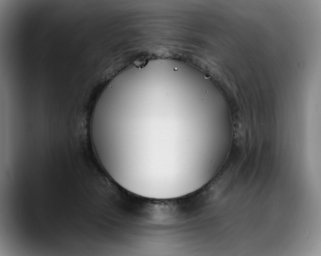 X0000088680466200706141357