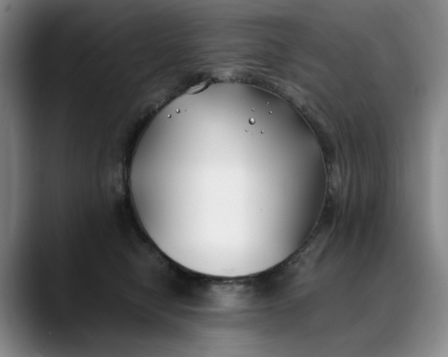 X0000088680470200706141357