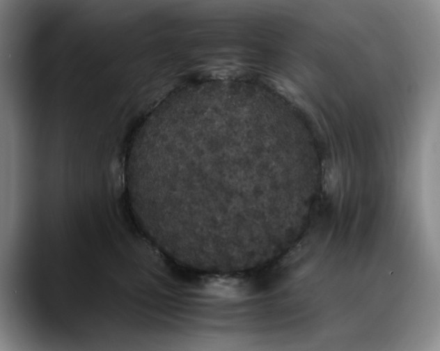 X0000088680471200706141357