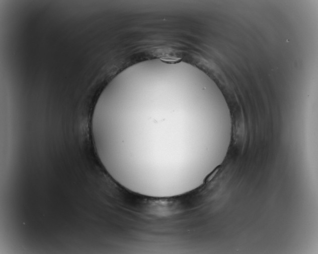 X0000088680473200706141357