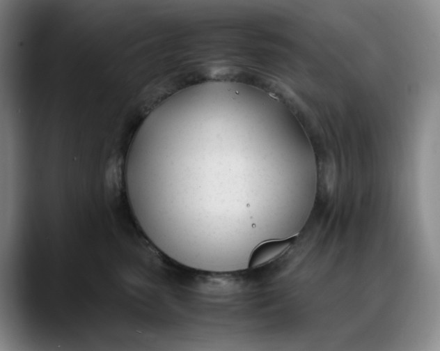 X0000088680475200706141357